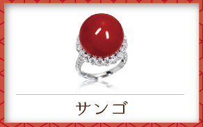 サンゴ